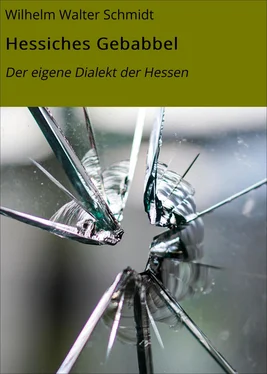 Wilhelm Walter Schmidt Hessiches Gebabbel обложка книги