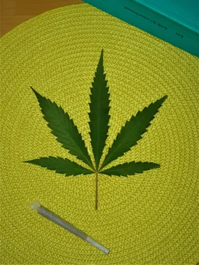 Marc Blizz Cannabis legal? обложка книги
