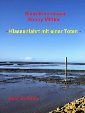 Axel Schade Hauptkommissar Ronny Mittler обложка книги