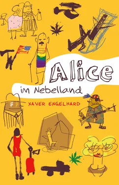 Xaver Engelhard Alice im Nebelland обложка книги