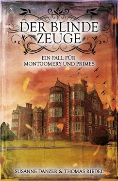Susanne Danzer Der blinde Zeuge обложка книги