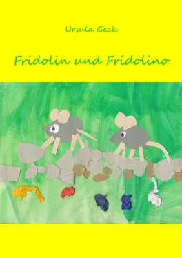 Ursula Geck Fridolin und Fridolino обложка книги