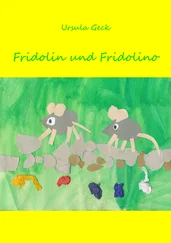 Ursula Geck - Fridolin und Fridolino
