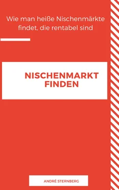 André Sternberg NISCHEN MARKT FINDEN обложка книги