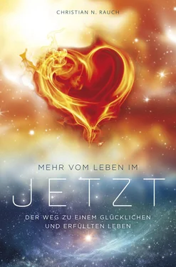 Christian N. Rauch Mehr vom Leben im Jetzt обложка книги
