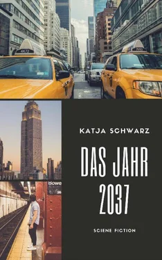 Katja Schwarz Das Jahr 2037 обложка книги