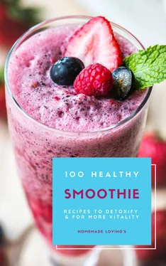 HOMEMADE LOVING'S 100 Healthy Smoothie Recipes To Detoxify And For More Vitality (Diet Smoothie Guide For Weight Loss And Feeling Great In Your Body) обложка книги
