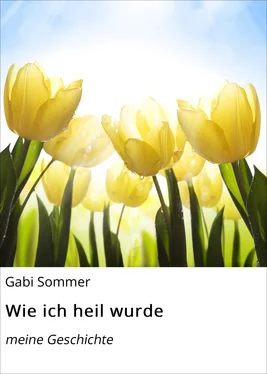 Gabi Sommer Wie ich heil wurde обложка книги