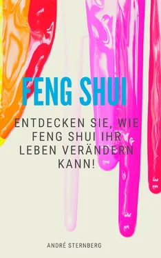 André Sternberg Feng Shui обложка книги