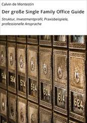 Calvin de Montestin - Der große Single Family Office Guide