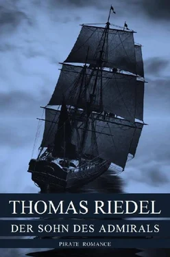 Thomas Riedel Der Sohn des Admirals обложка книги