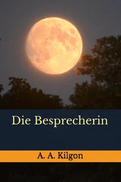 A. A. Kilgon Die Besprecherin обложка книги