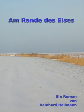 Reinhard Heilmann Am Rande des Eises обложка книги