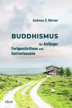 Andreas D. Werner Buddhismus für Anfänger, Fortgeschrittene und Gottverlassene обложка книги