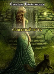 Светлана Гольшанская - Северный путь (СИ)