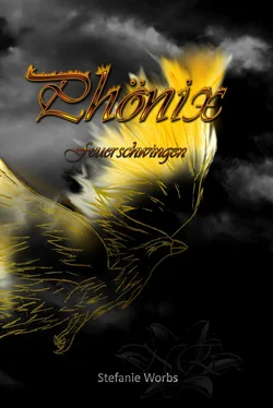 Stefanie Worbs Phönix Band 3 обложка книги