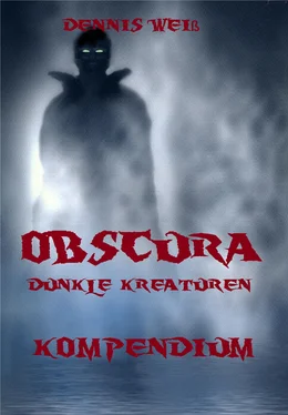 Dennis Weis Obscura- Kompendium обложка книги