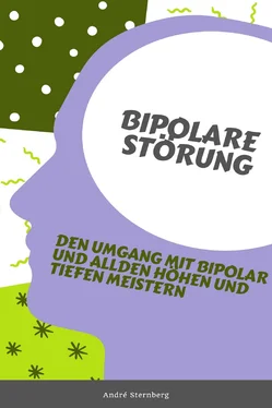 André Sternberg Bipolare Störung обложка книги