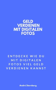 André Sternberg Geld verdienen mit digitalen Fotos обложка книги