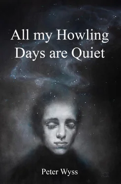 Peter Wyss All my Howling Days are Quiet обложка книги