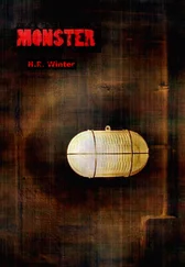 Harald Winter - Monster