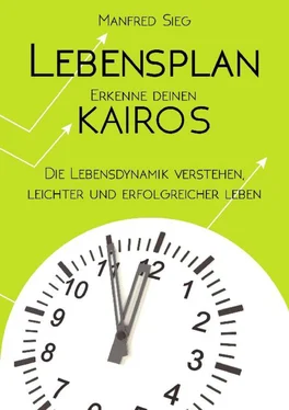 Manfred Sieg Lebensplan – Erkenne deinen KAIROS обложка книги
