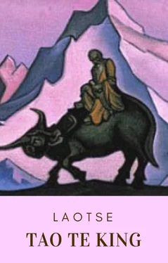Meister Laotse Tao te king обложка книги