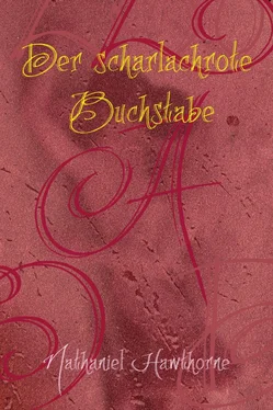 Nathaniel Hawthorne Der scharlachrote Buchstabe обложка книги