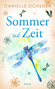 Danielle Ochsner Sommer auf Zeit обложка книги