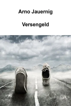 Arno Jauernig Versengeld обложка книги