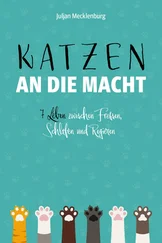 Juljan Mecklenburg - Katzen an die Macht
