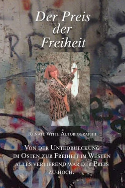 Renate Witte Der Preis der Freiheit обложка книги