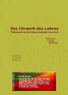 Ilka Stuchlik Das Uhrwerk des Lebens обложка книги