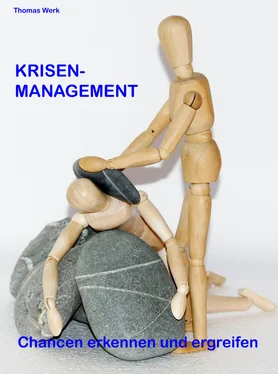 Thomas Werk Krisenmanagement обложка книги