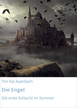 Tim Kai Auerbach Die Engel обложка книги