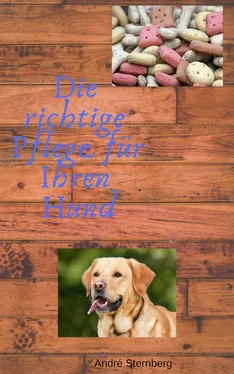 André Sternberg Die richtige Pflege für Ihren Hund обложка книги