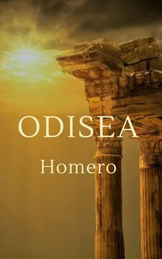 Homero Hómēros Homero - Odisea обложка книги