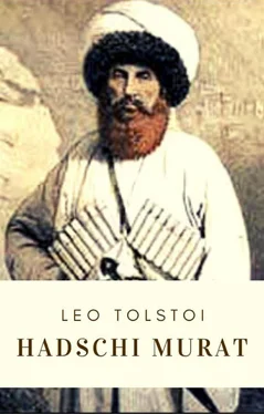 Leo Tolstoi Leo Tolstoi: Hadschi Murat обложка книги