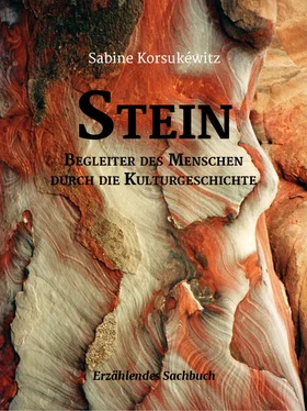Sabine Korsukéwitz Stein обложка книги