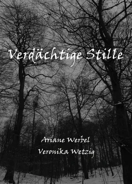 Veronika Wetzig Verdächtige Stille обложка книги