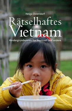 Helga Ostendorf Rätselhaftes Vietnam - Hintergrundwissen für Touristen und andere обложка книги