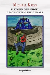 Michael Kress - Blicke in den Spiegel