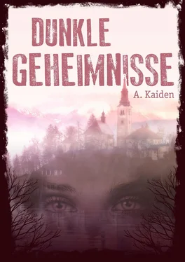 A. Kaiden Dunkle Geheimnisse обложка книги