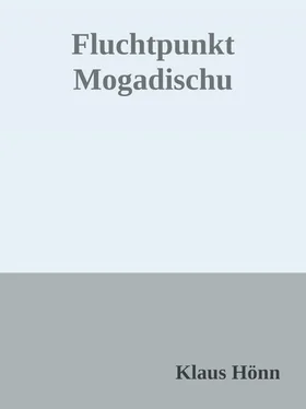 Klaus Hönn Fluchtpunkt Mogadischu обложка книги