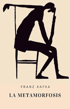 Franz Kafka Kafka - La metamorfosis обложка книги