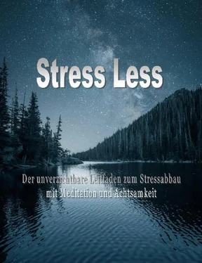 Jato Baur Stress Less обложка книги