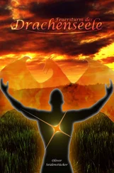 Oliver Seidenstücker - Feuersturm der Drachenseele