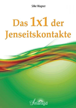 Silke Wagner Das 1x1 der Jenseitskontakte обложка книги