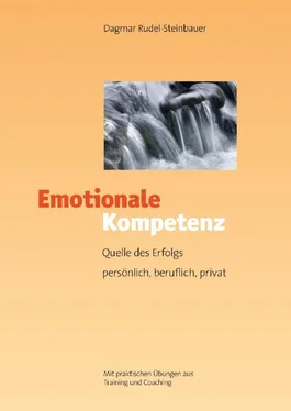 Dagmar Rudel-Steinbauer Emotionale Kompetenz обложка книги