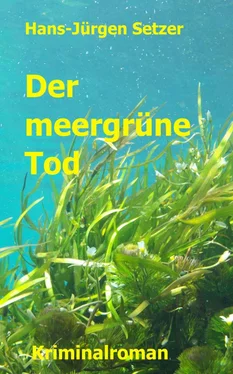 Hans-Jürgen Setzer Der meergrüne Tod обложка книги